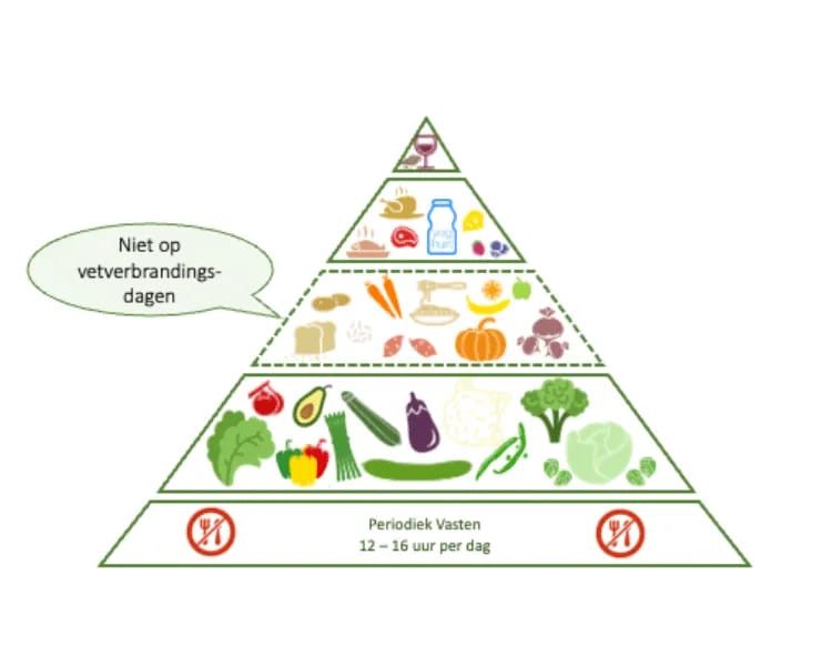 Alzheimer voedselpiramide