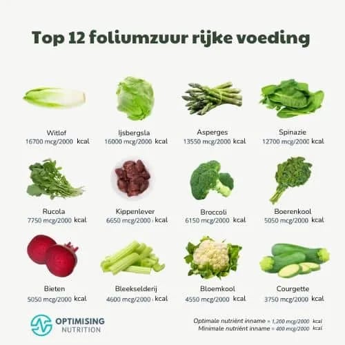 Top 12 foliumzuur rijke voeding stichting Je Leefstijl Als Medicijn
