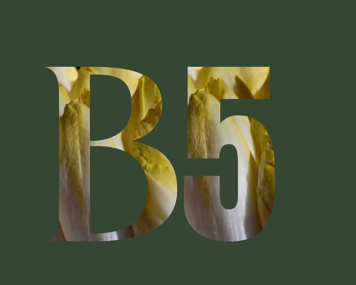 Vitamine B5