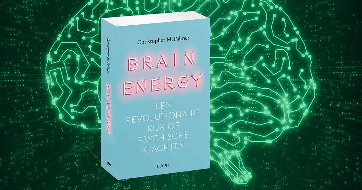 Brain Energy - boek door Christopher Palmer