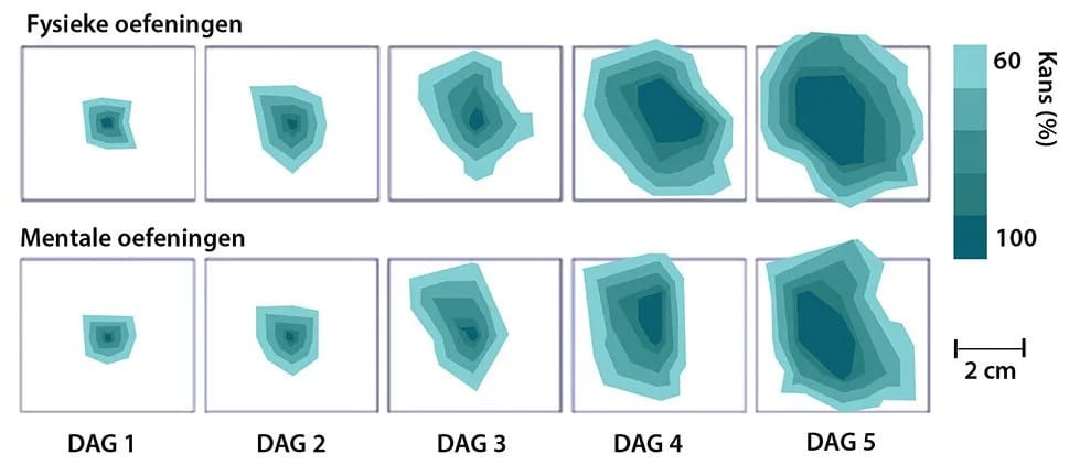 Effect oefeningen op brein