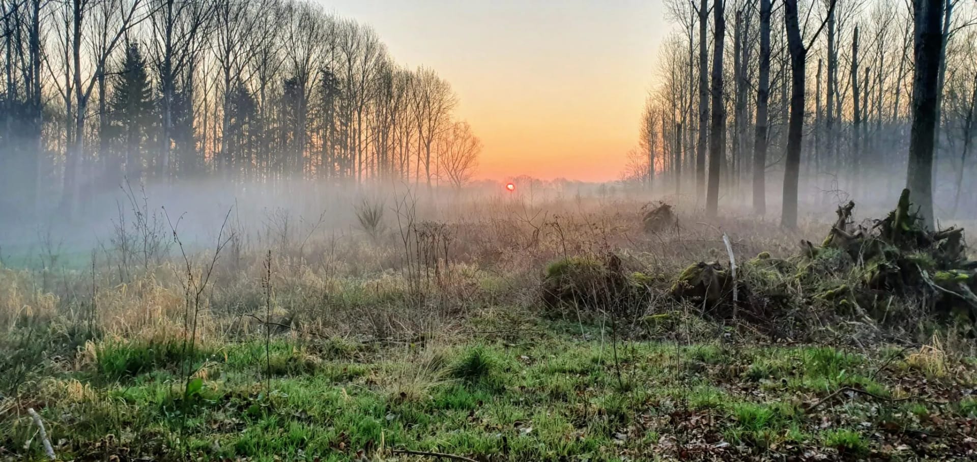 Leefstijl reset week – de beste manier om gedrag duurzaam te veranderen